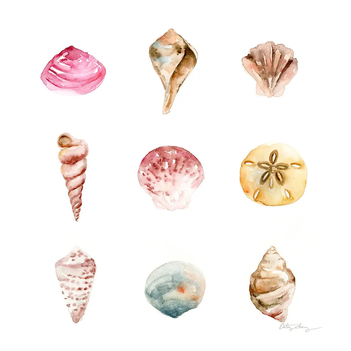 Assorted Sea Shells Art Print