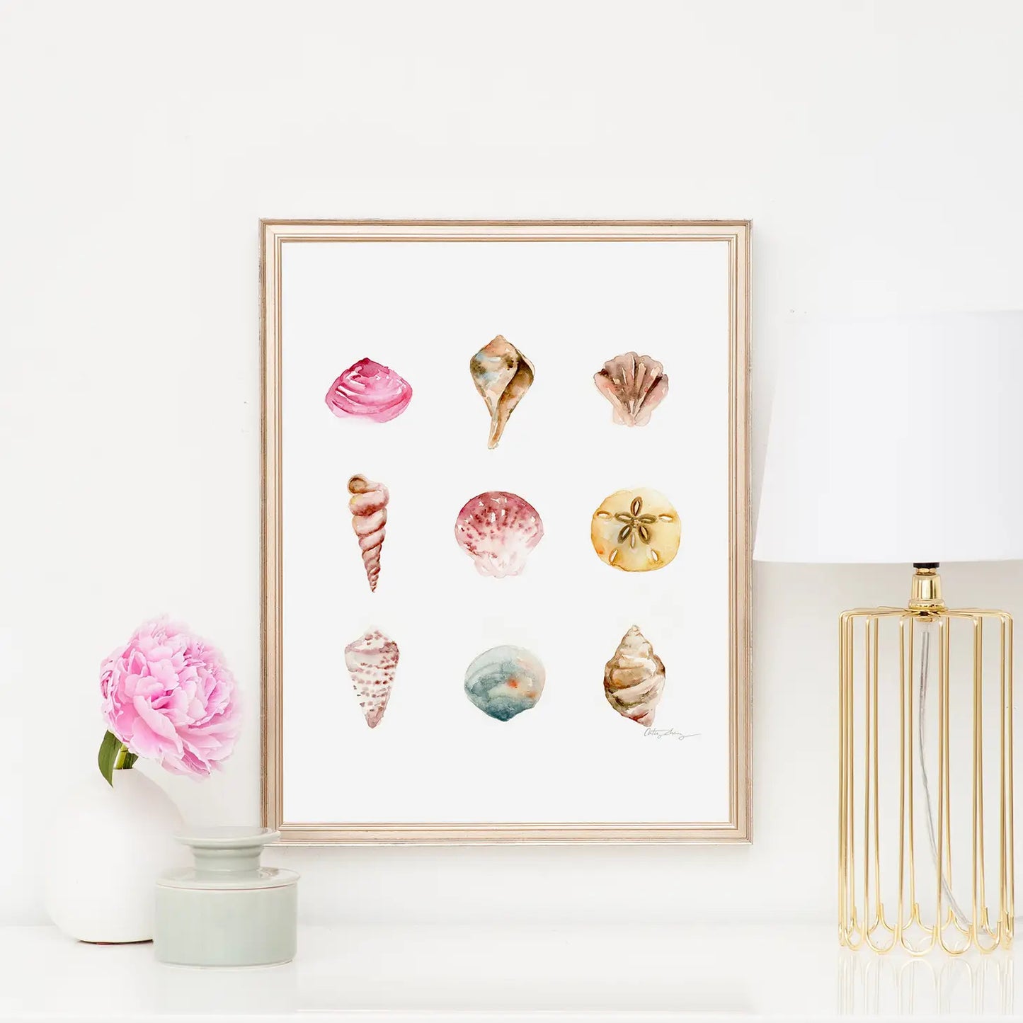 Assorted Sea Shells Art Print
